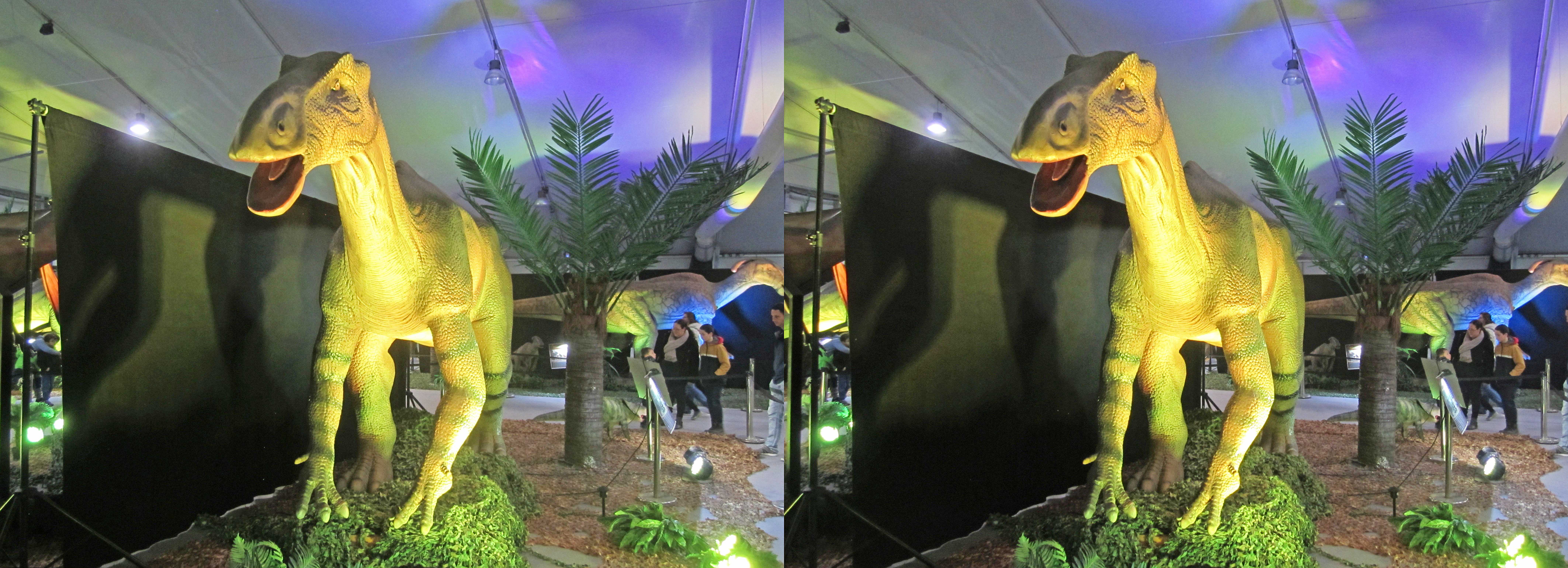 le_monde_des_dinosaures_23