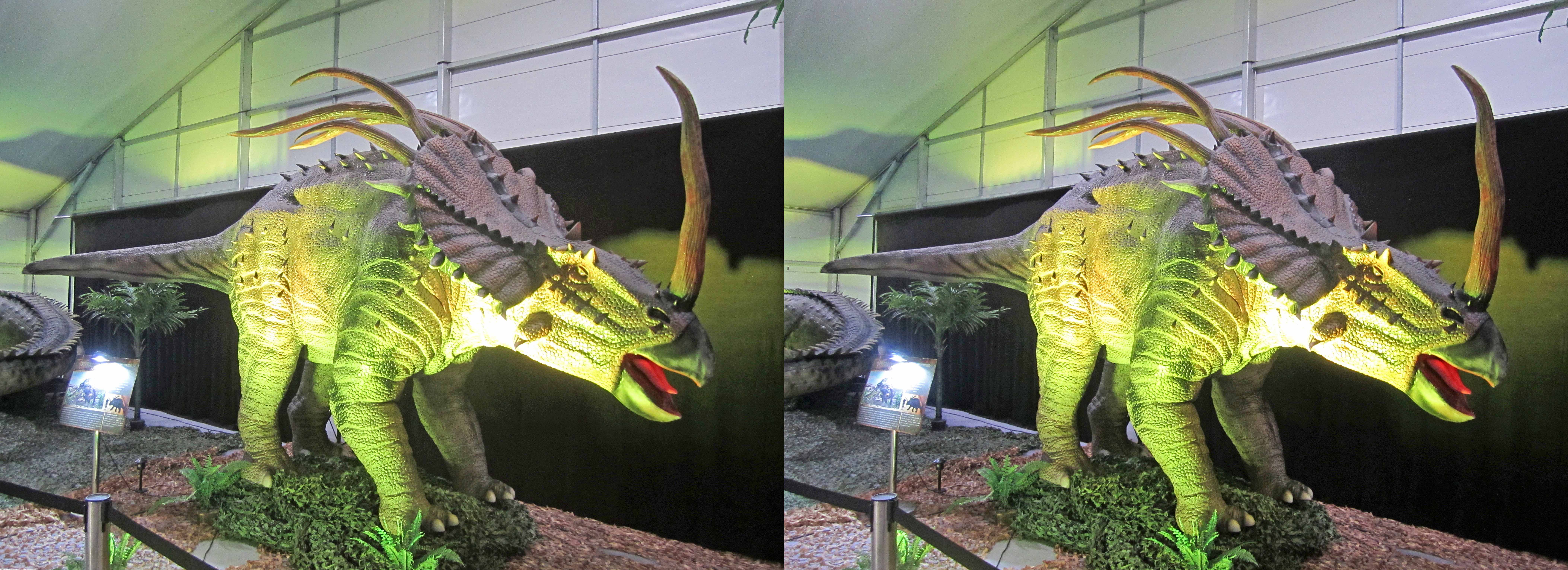 le_monde_des_dinosaures_24