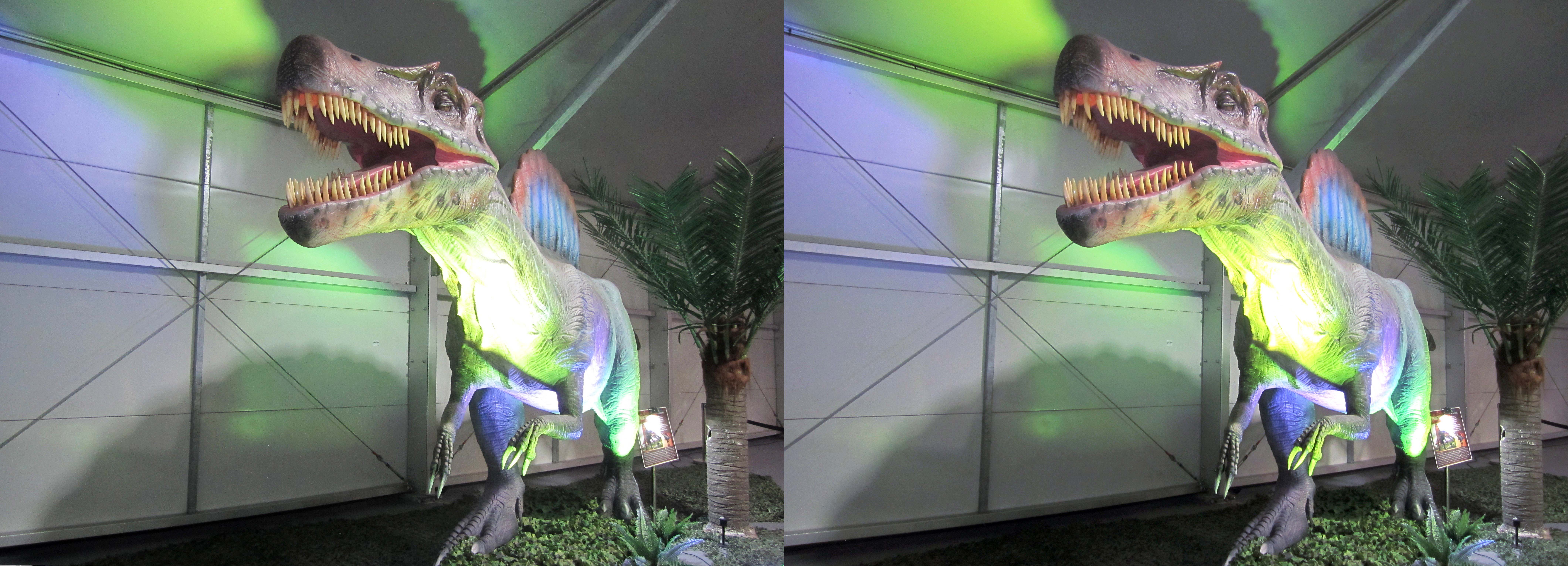 le_monde_des_dinosaures_25
