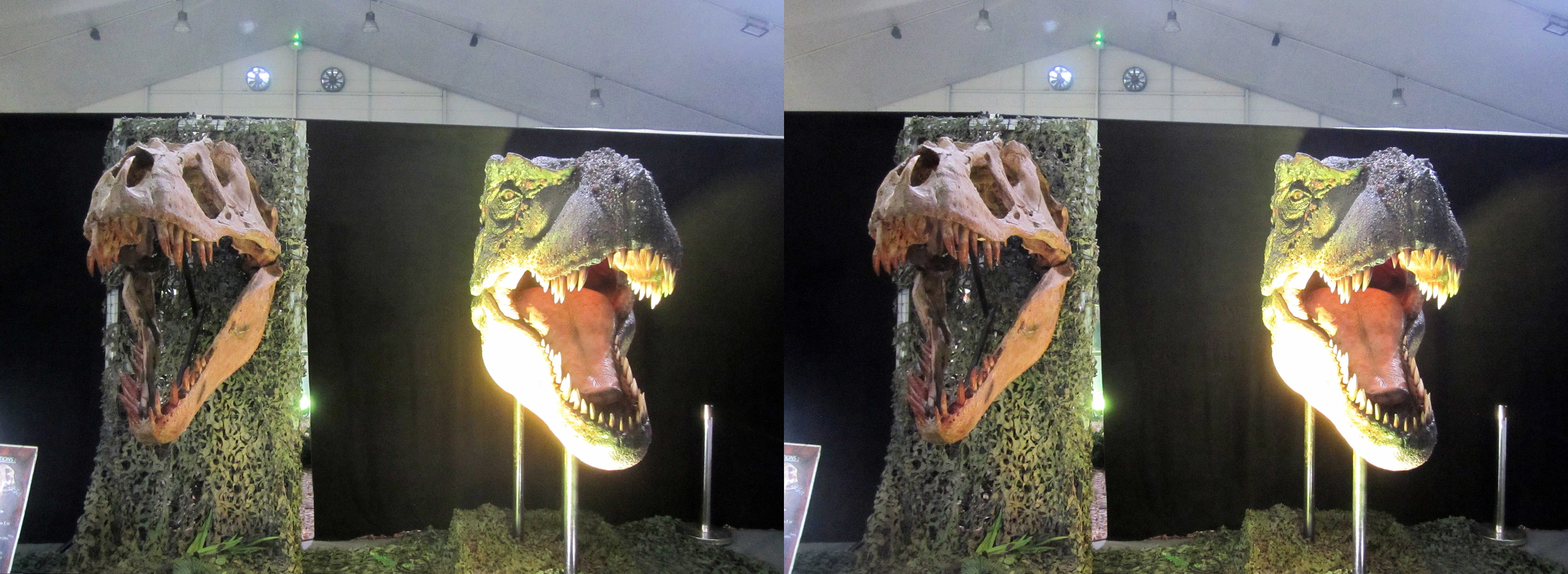 le_monde_des_dinosaures_26