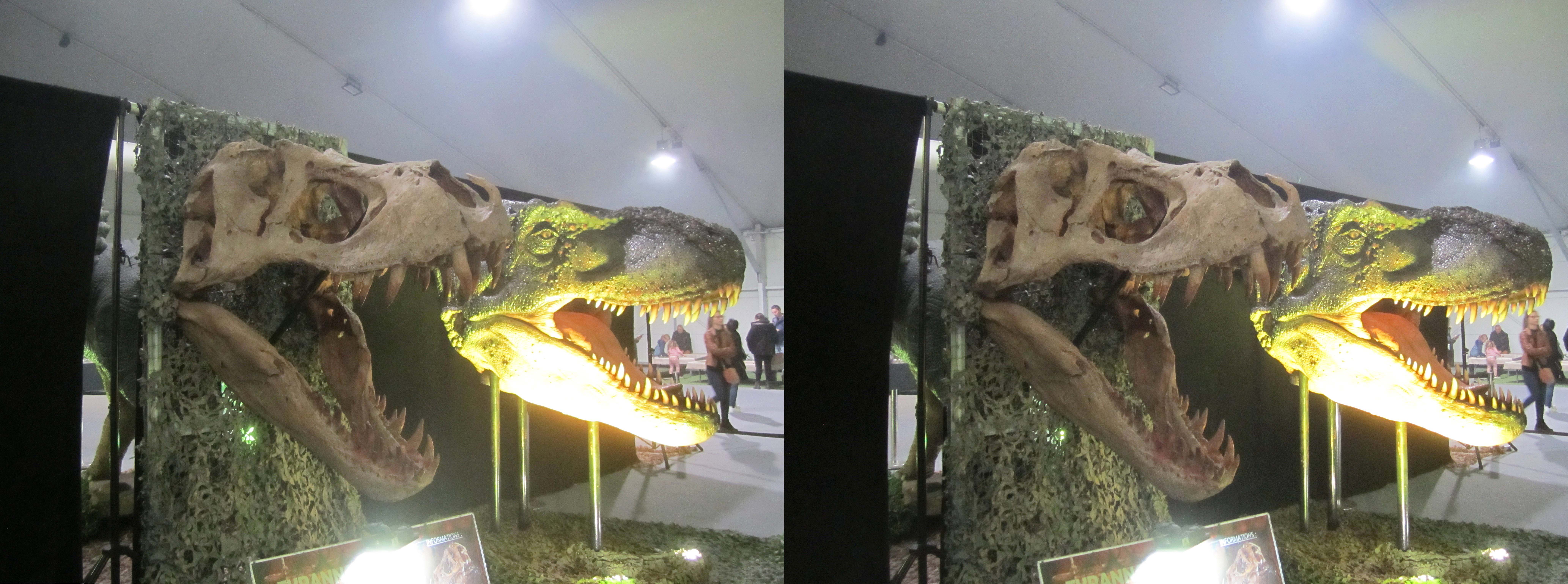 le_monde_des_dinosaures_27