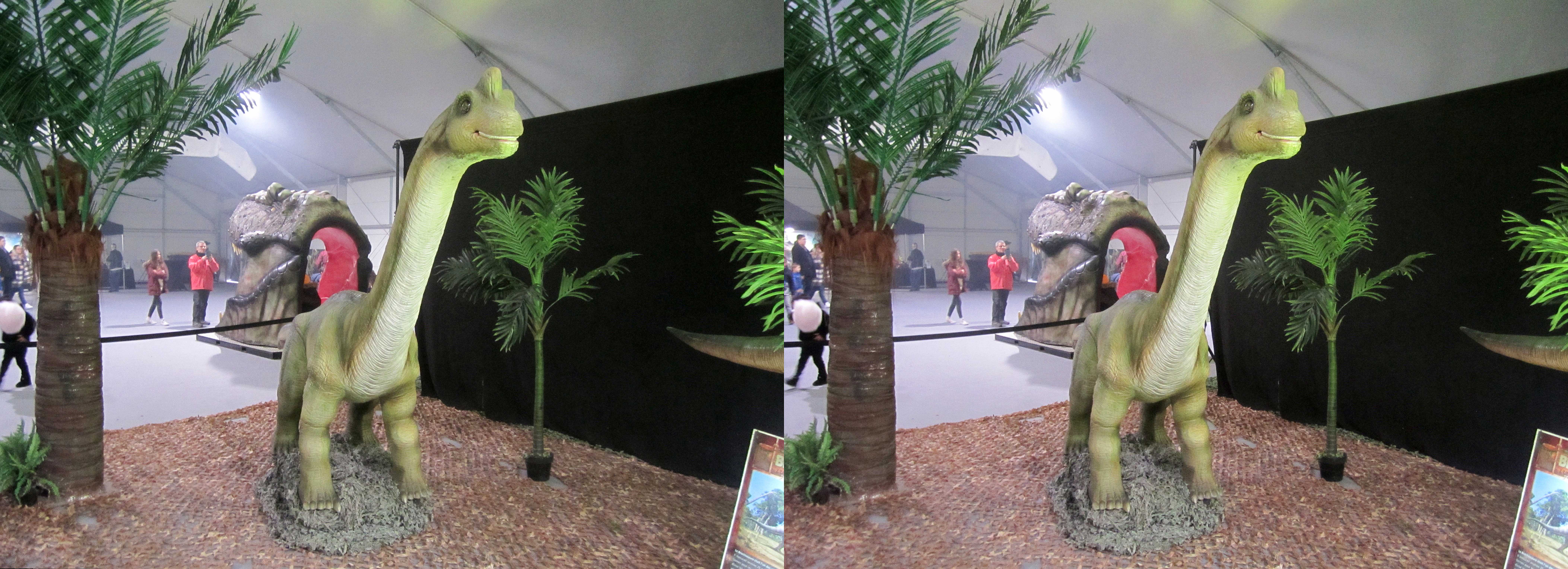 le_monde_des_dinosaures_29