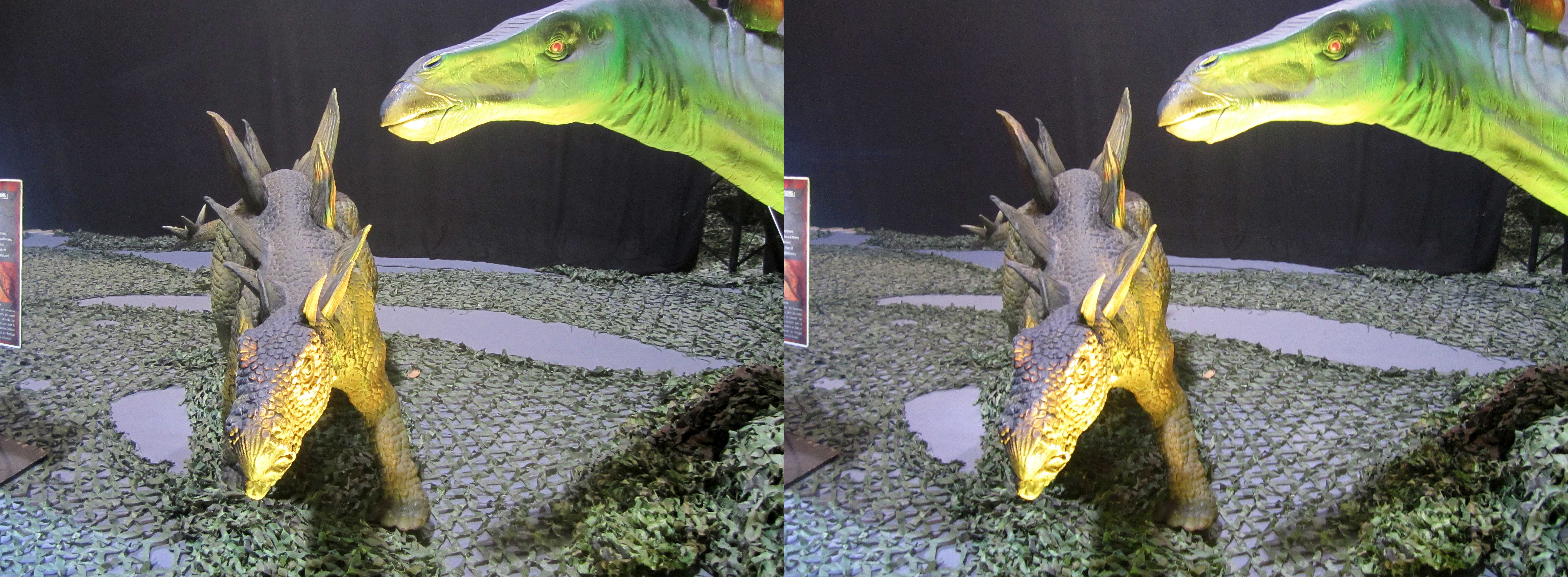 le_monde_des_dinosaures_30