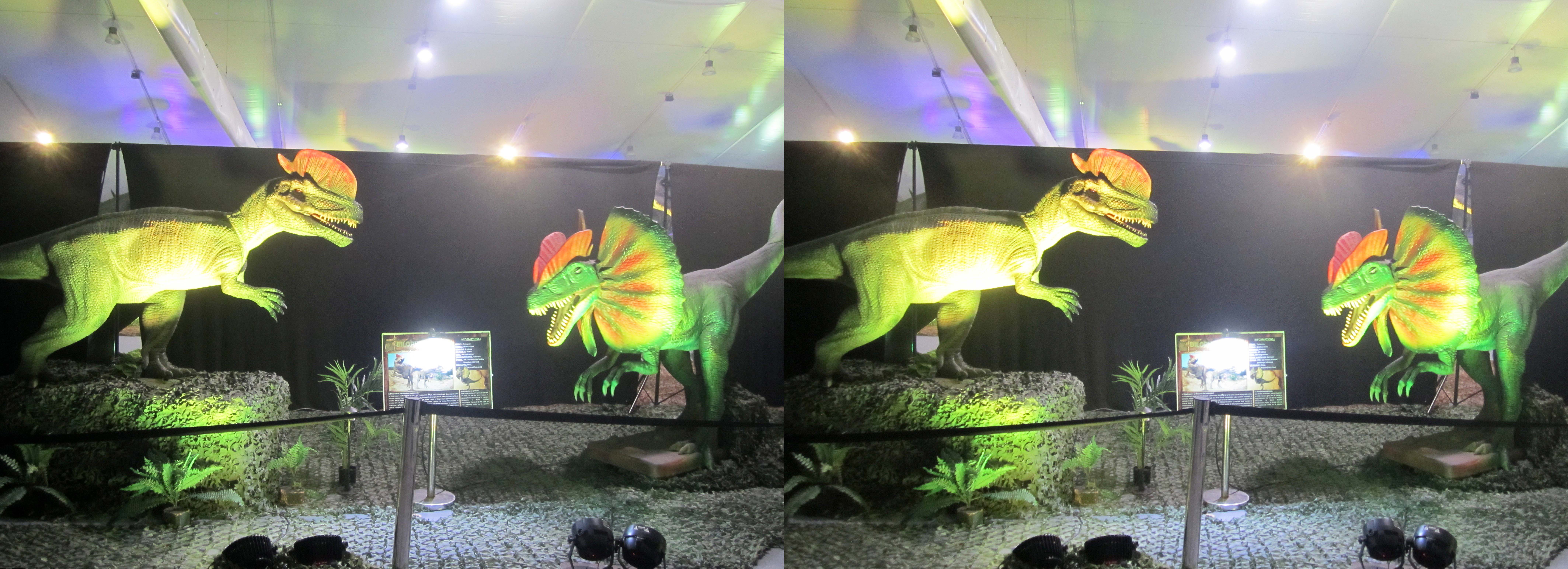 le_monde_des_dinosaures_32