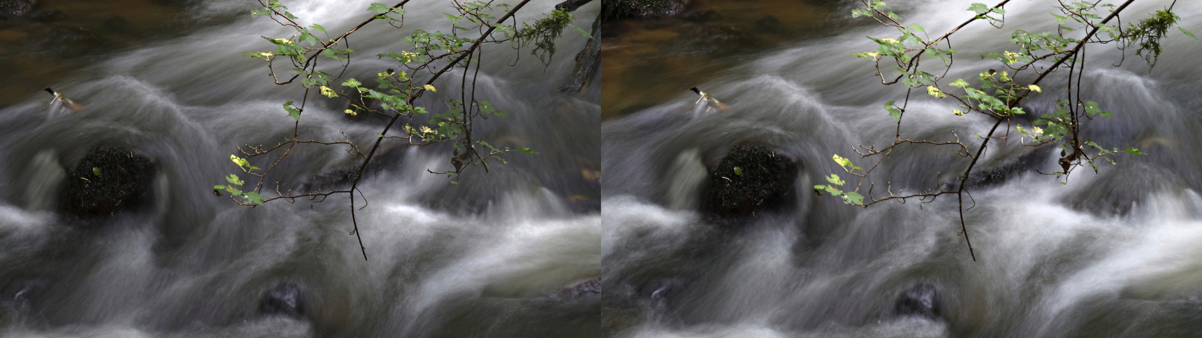 gorge de la monne11