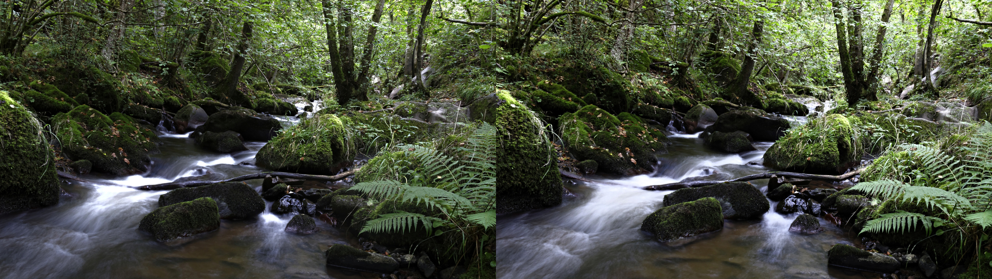 gorge de la monne13