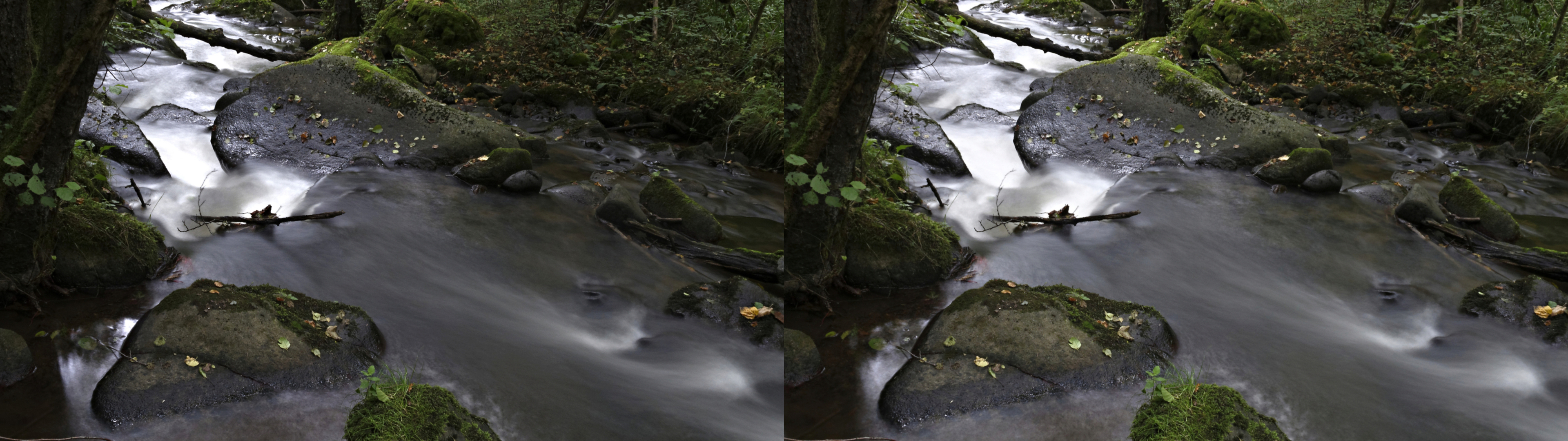 gorge de la monne19