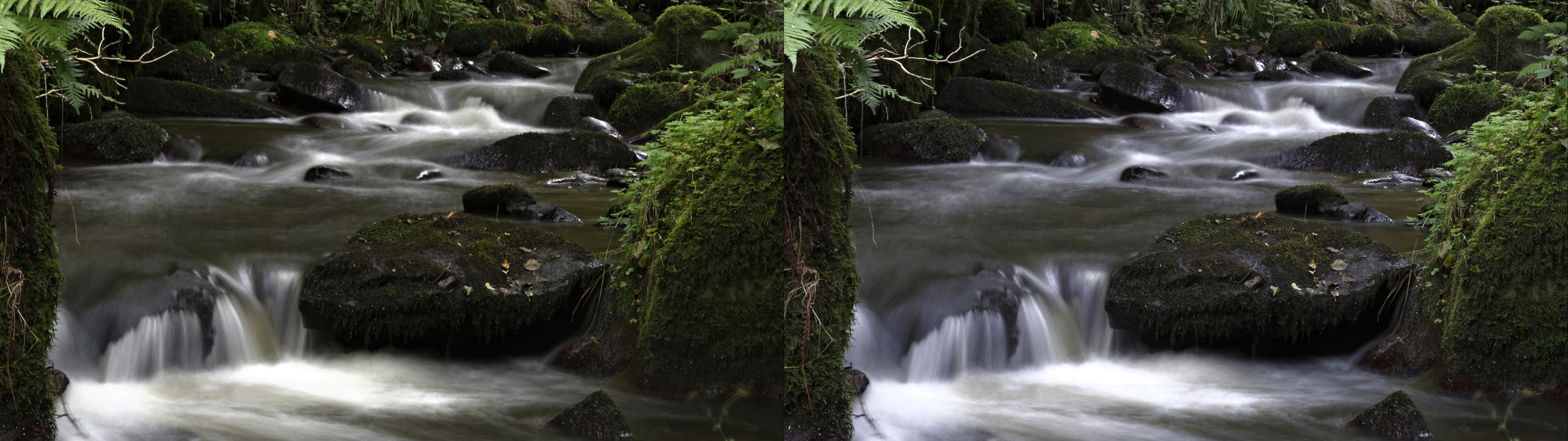 gorge de la monne2