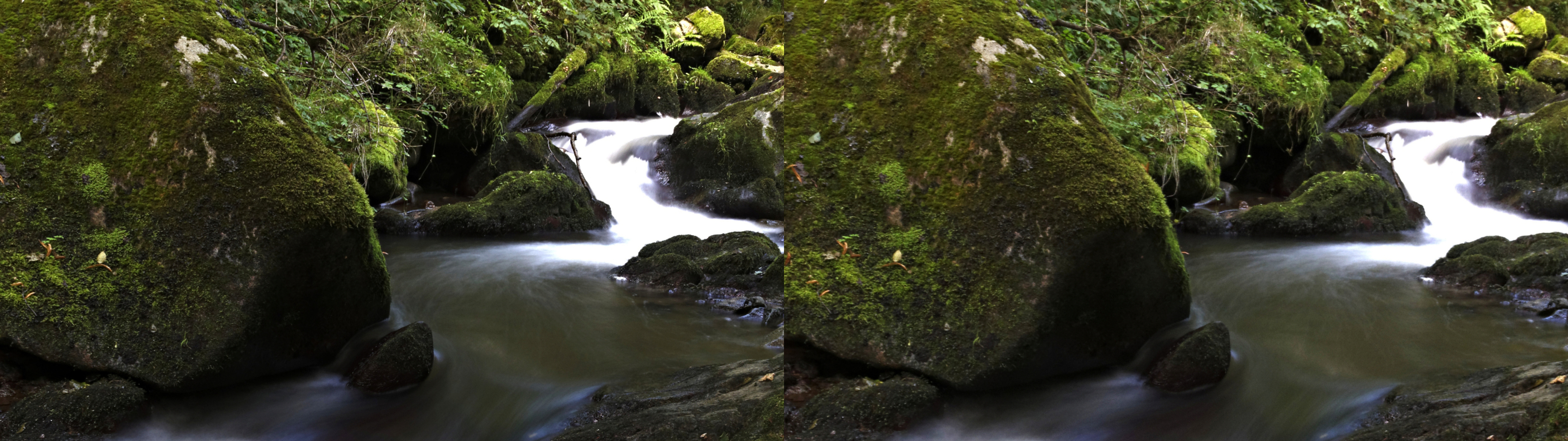 gorge de la monne29