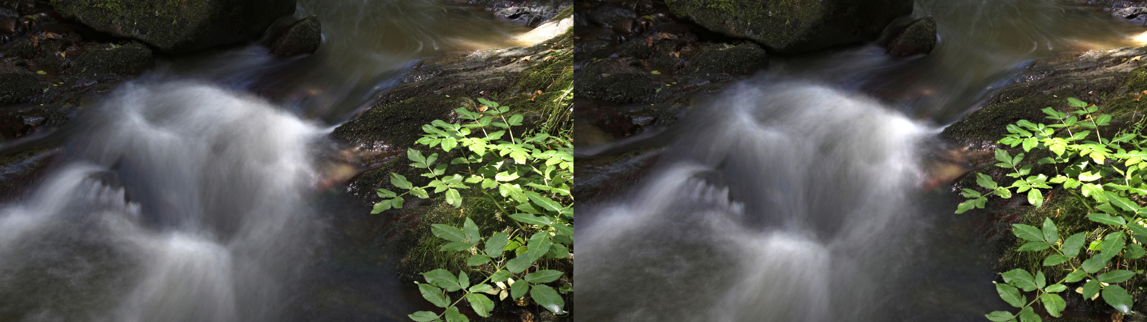 gorge de la monne31
