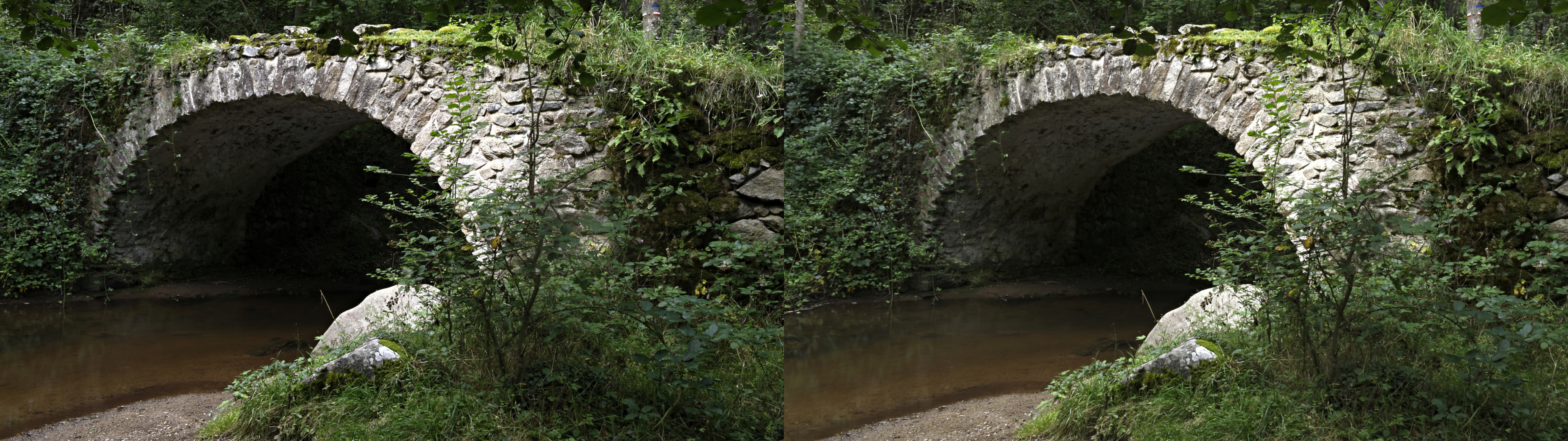 gorge de la monne37