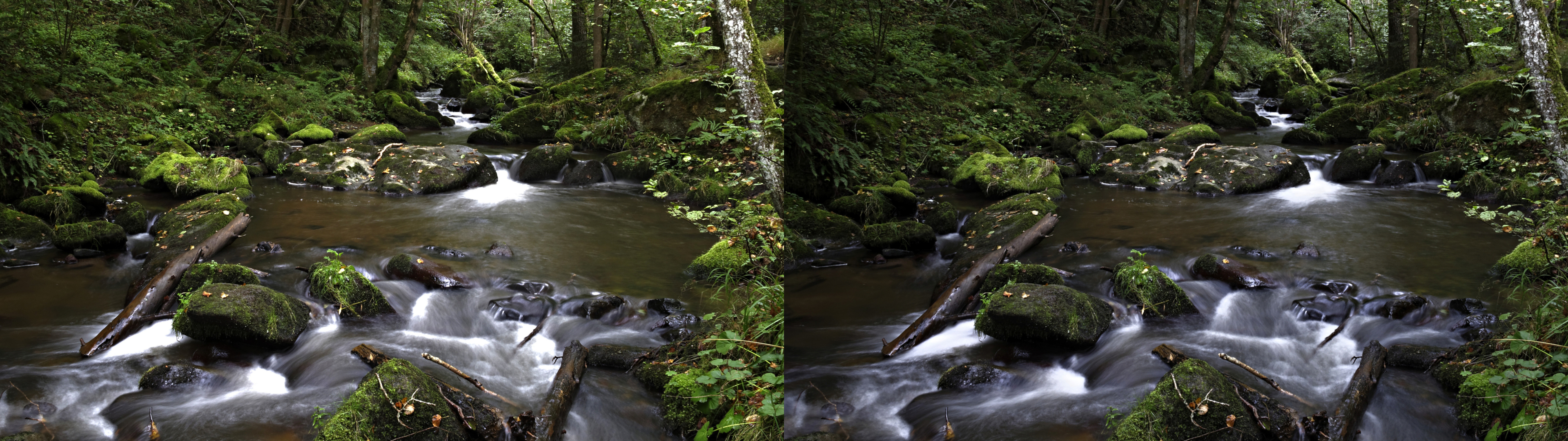 gorge de la monne5