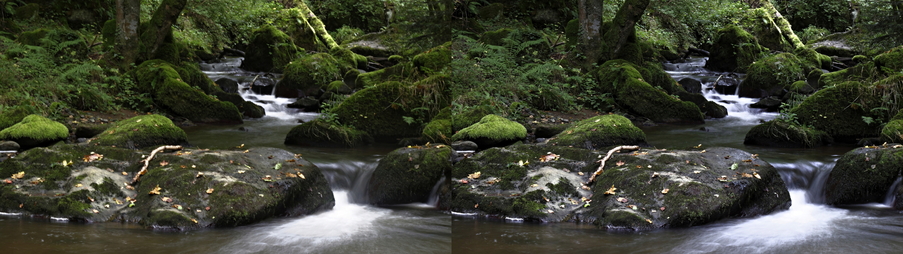 gorge de la monne6