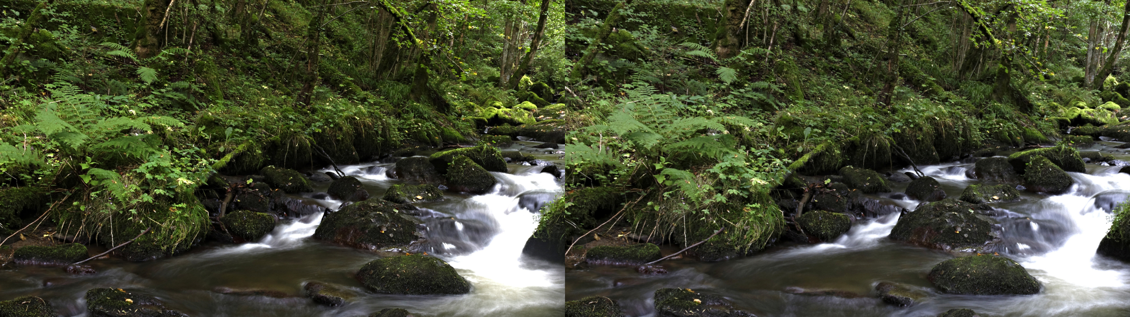 gorge de la monne8