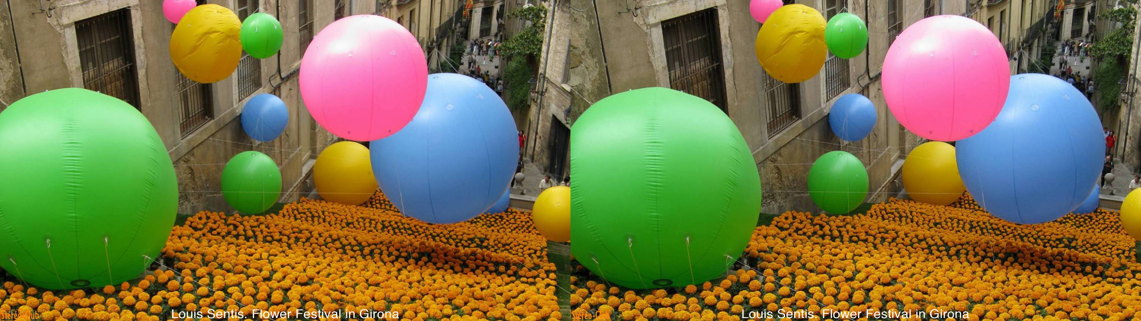 Fête des fleurs
