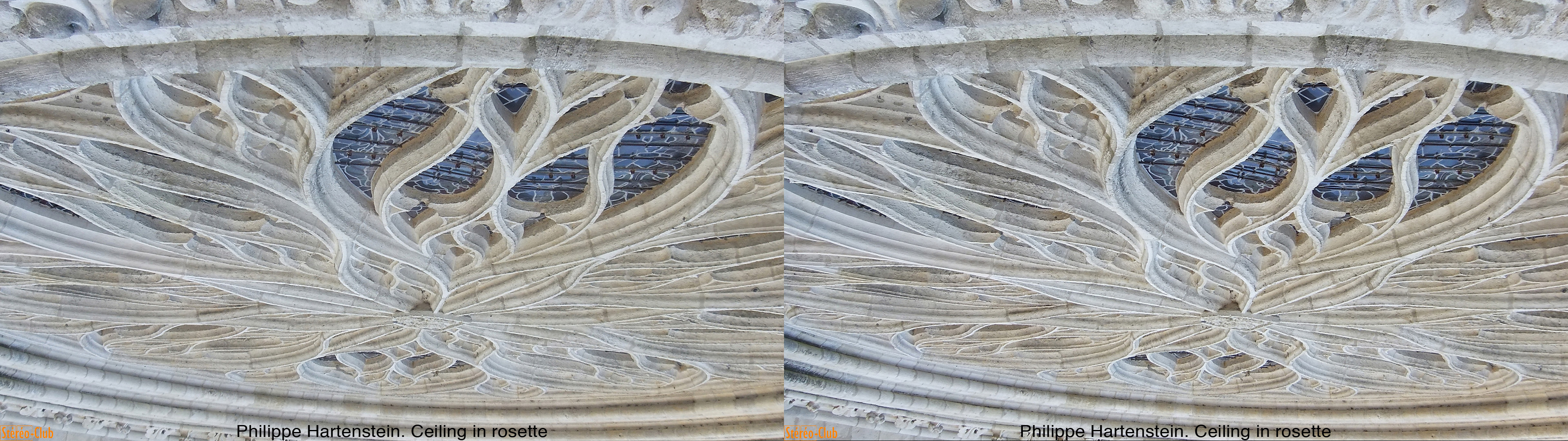 Plafond en rosace
