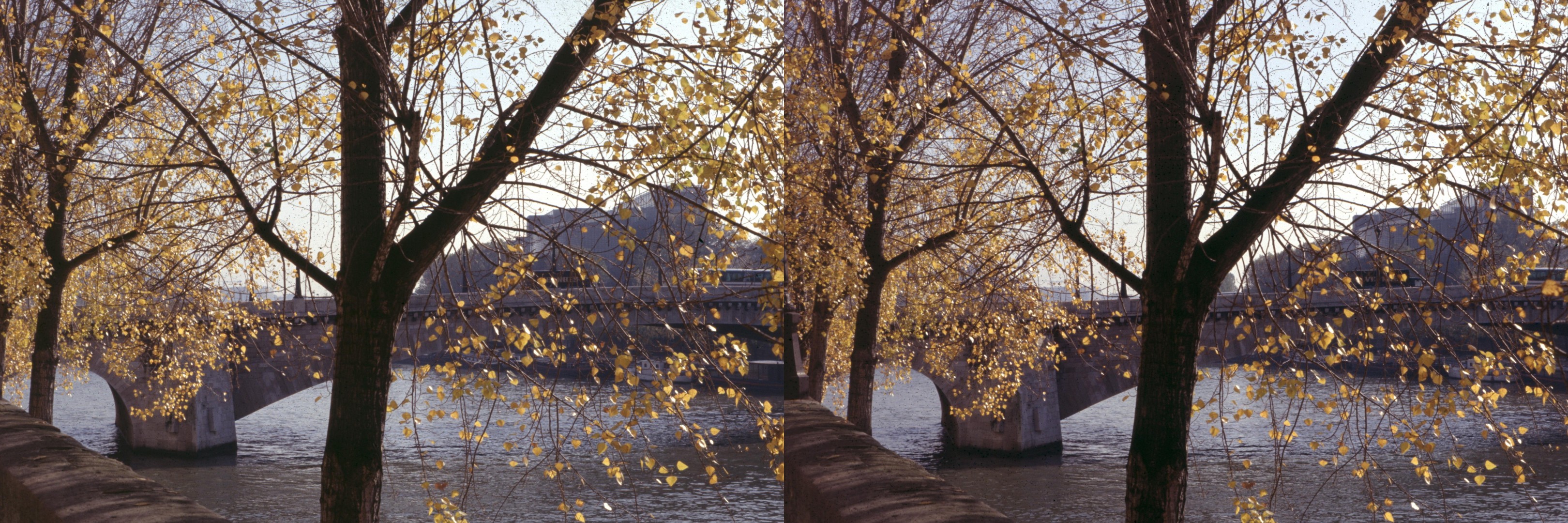 Ile St Louis