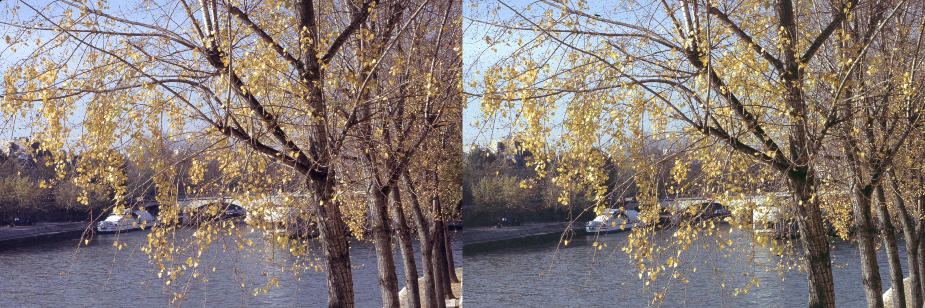 Ile St Louis