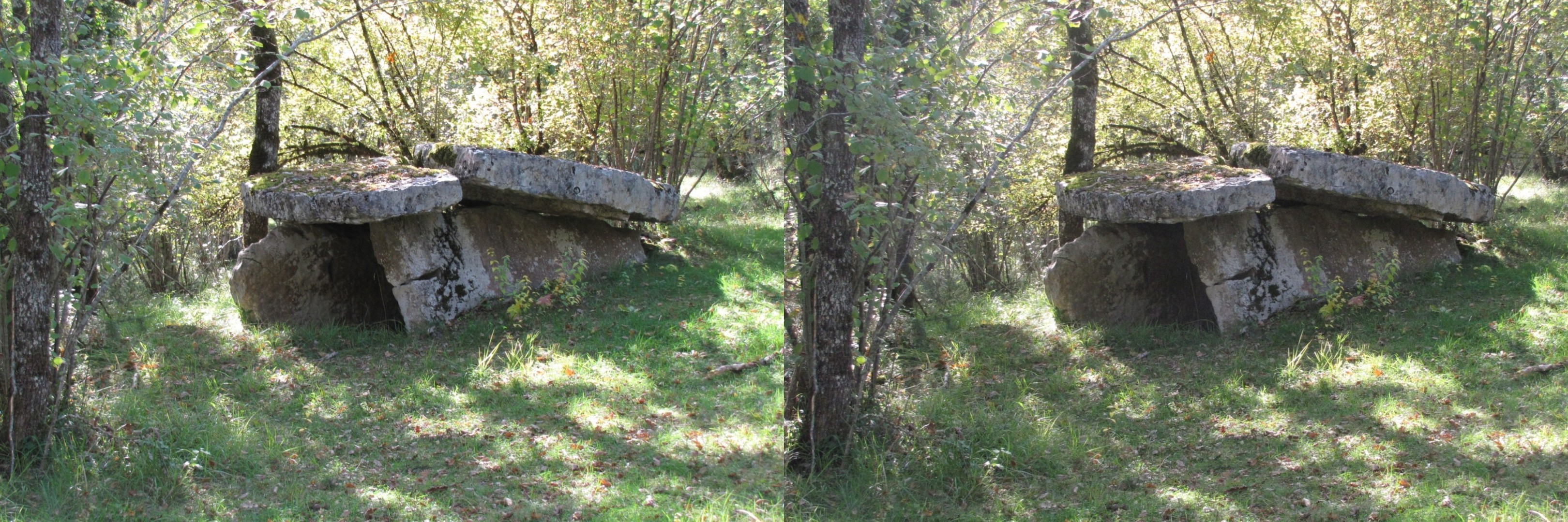 Dolmen du champ de Cuzer, Reyrevignes, Lot, 9-2015