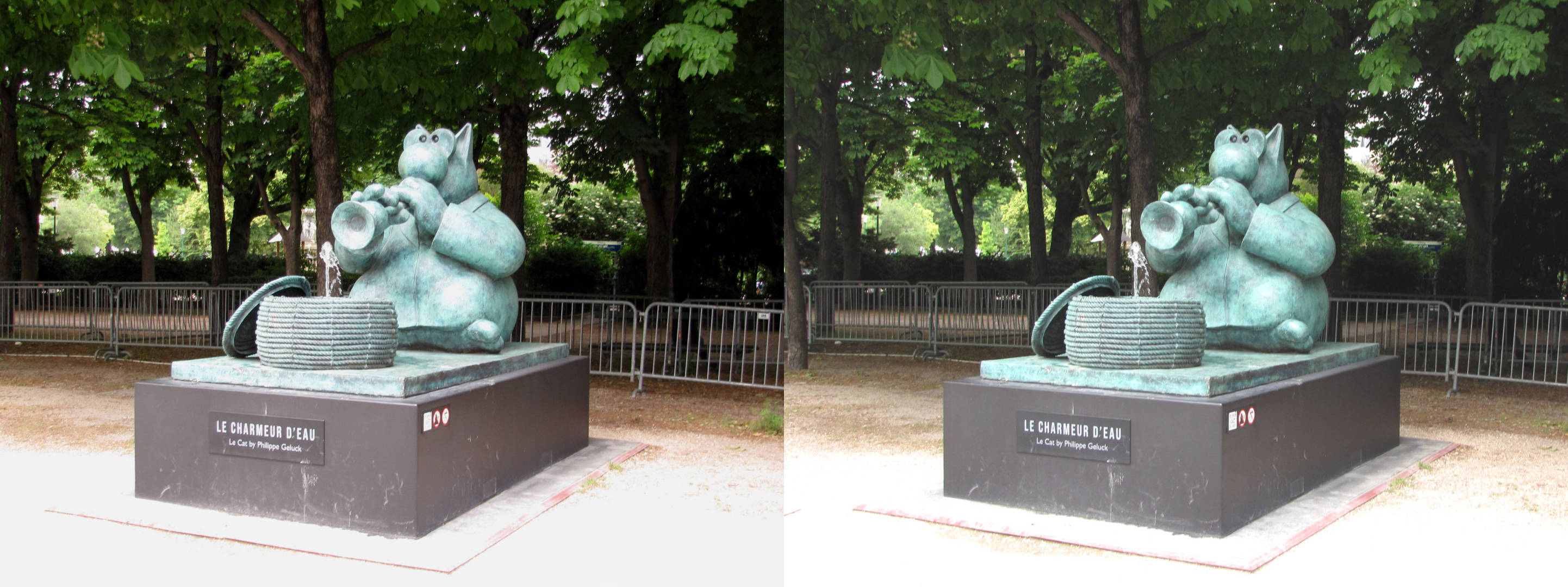 Le charmeur d'eau
