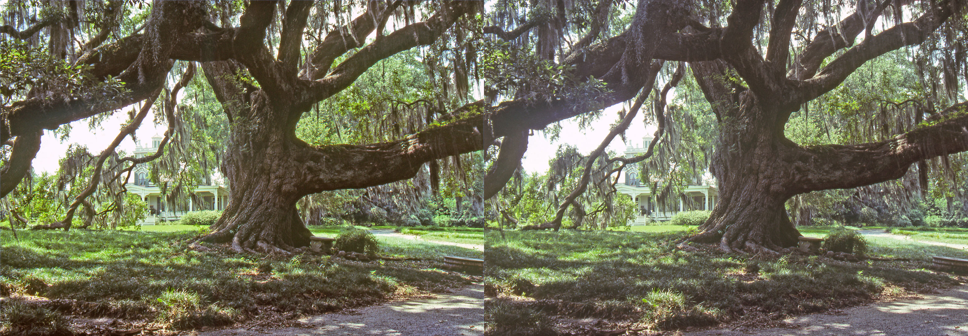 Rip Van Winkle Gardens