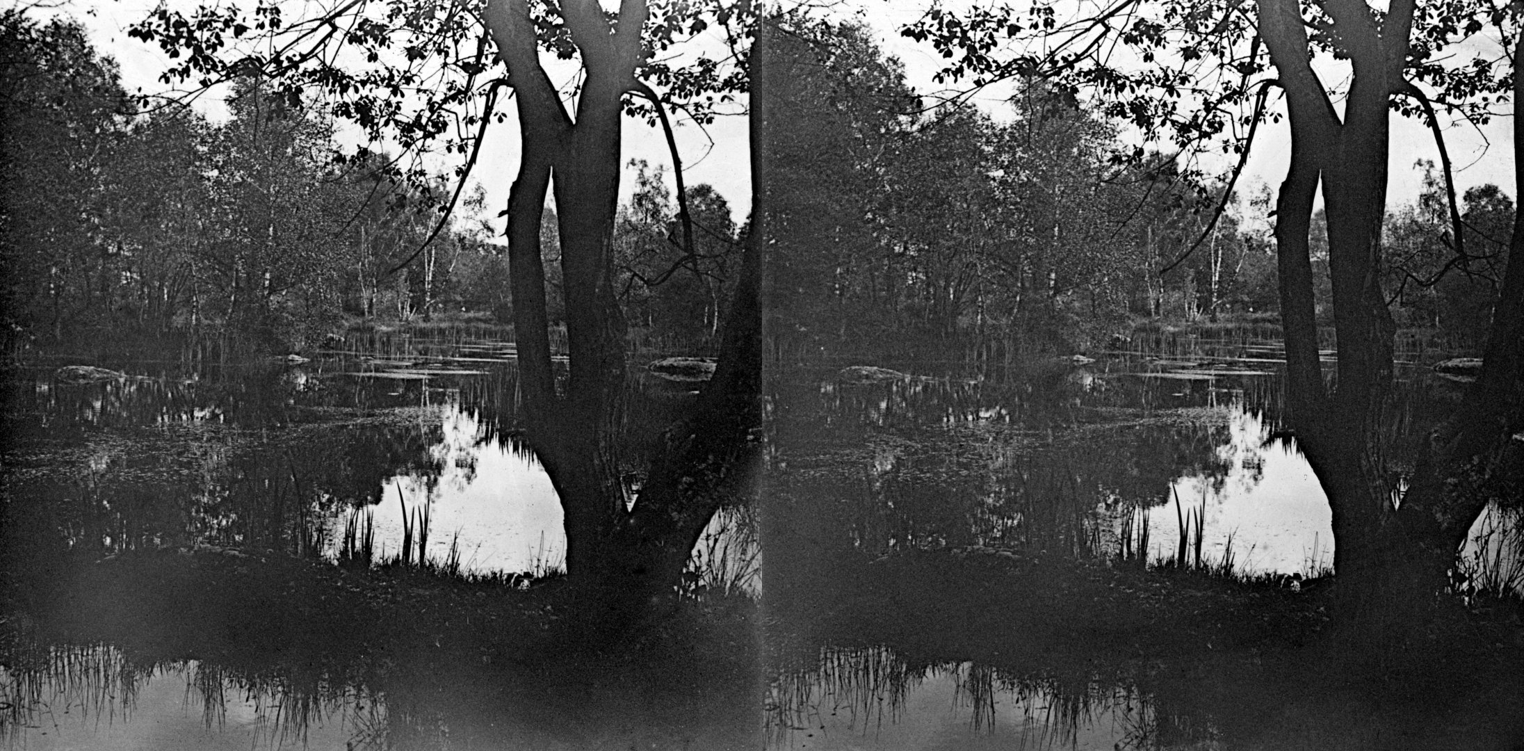 Mare aux fées