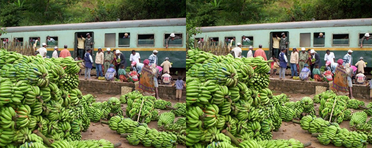 Bananes