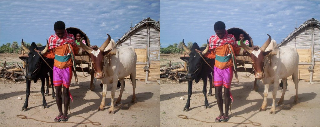 Famille malgache partant en carriole à zébu