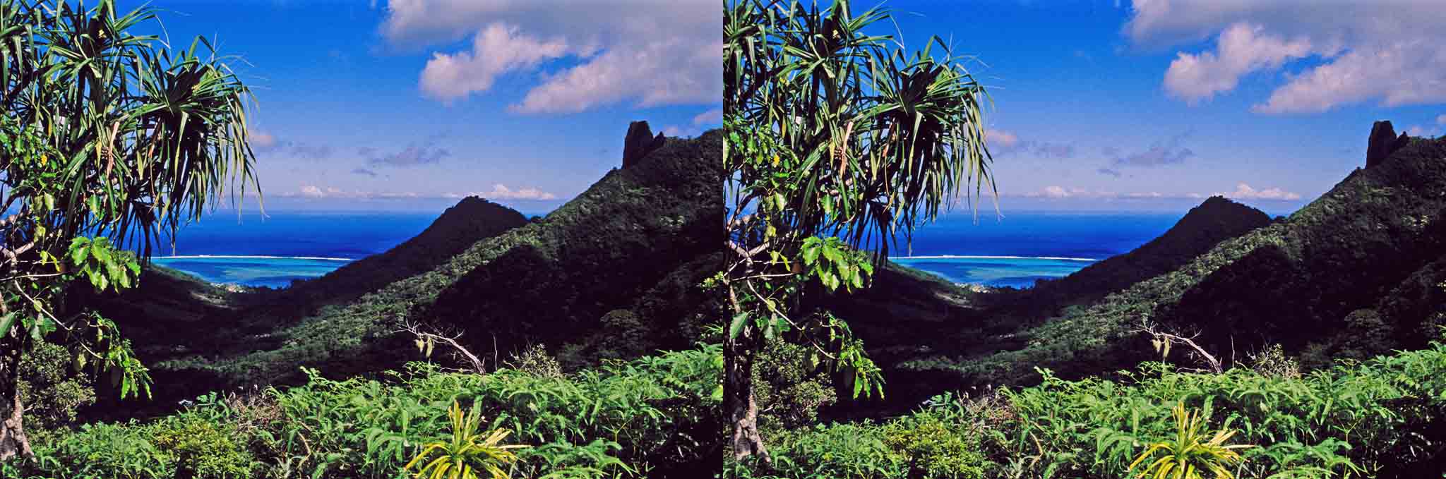 Au centre de Moorea, ce col est un belvédère sur toute l?île .