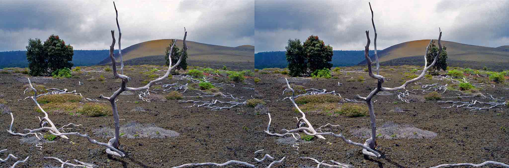 Le Kilauea est le volcan actuellement en éruption sur la grande île d?Hawaii.