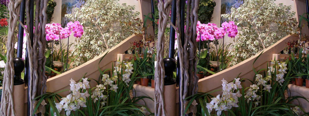 journée des plantes