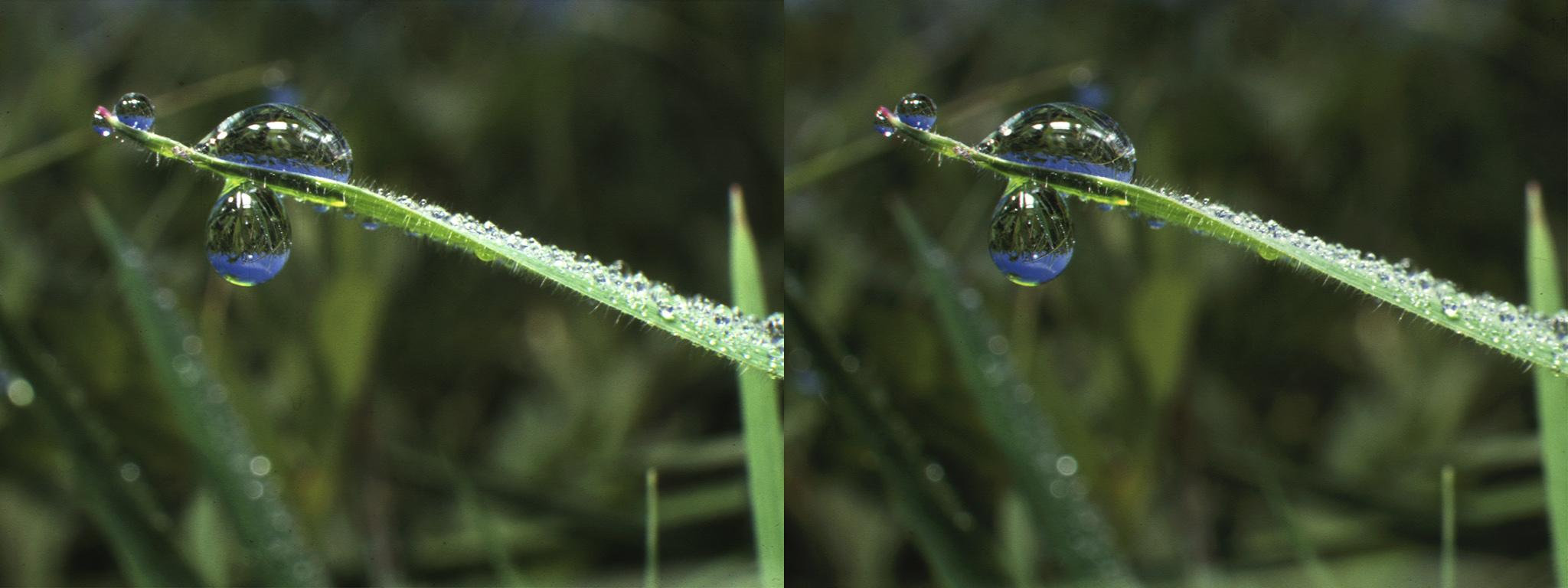 Gouttelettes bleues - 19°