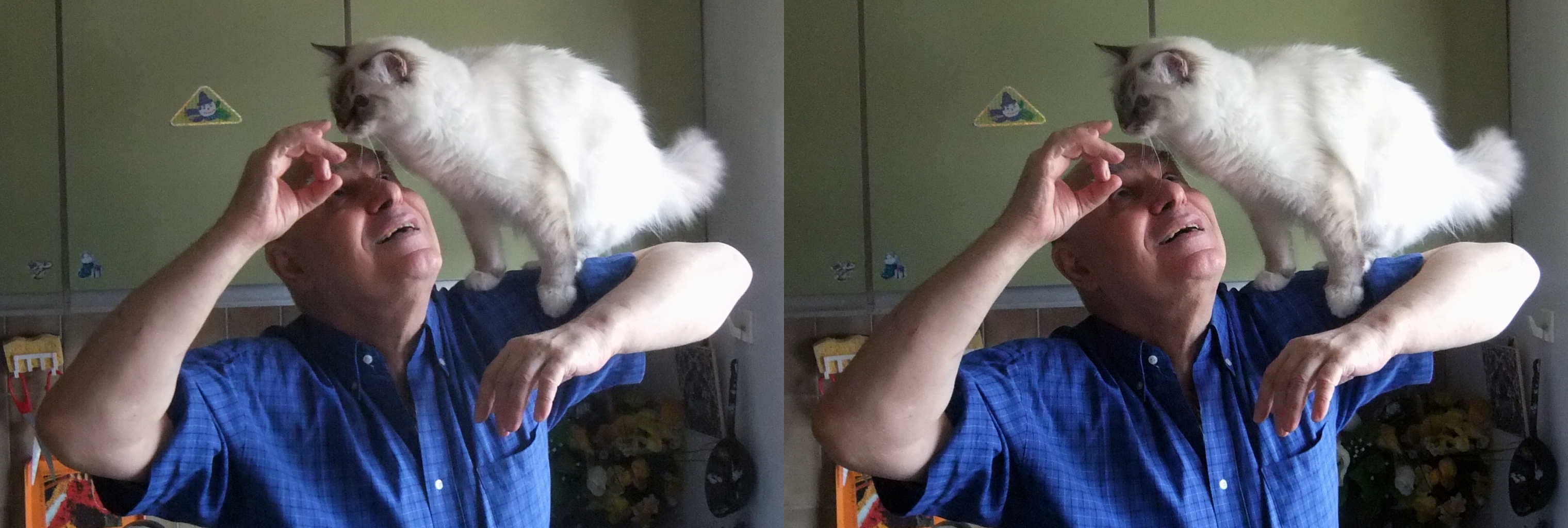 Edmond avec Goupil
