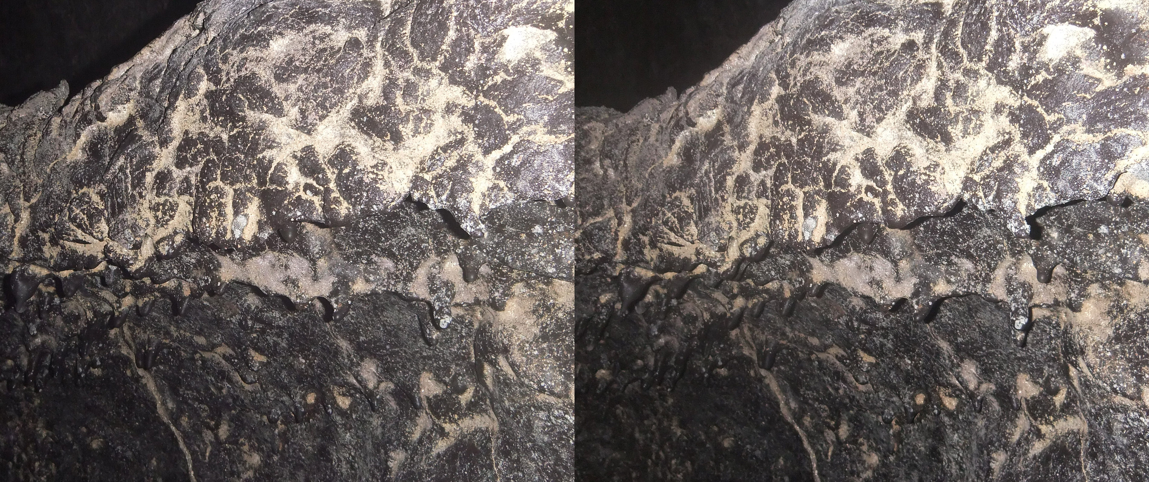 coulée de lave Kiloea Big Island