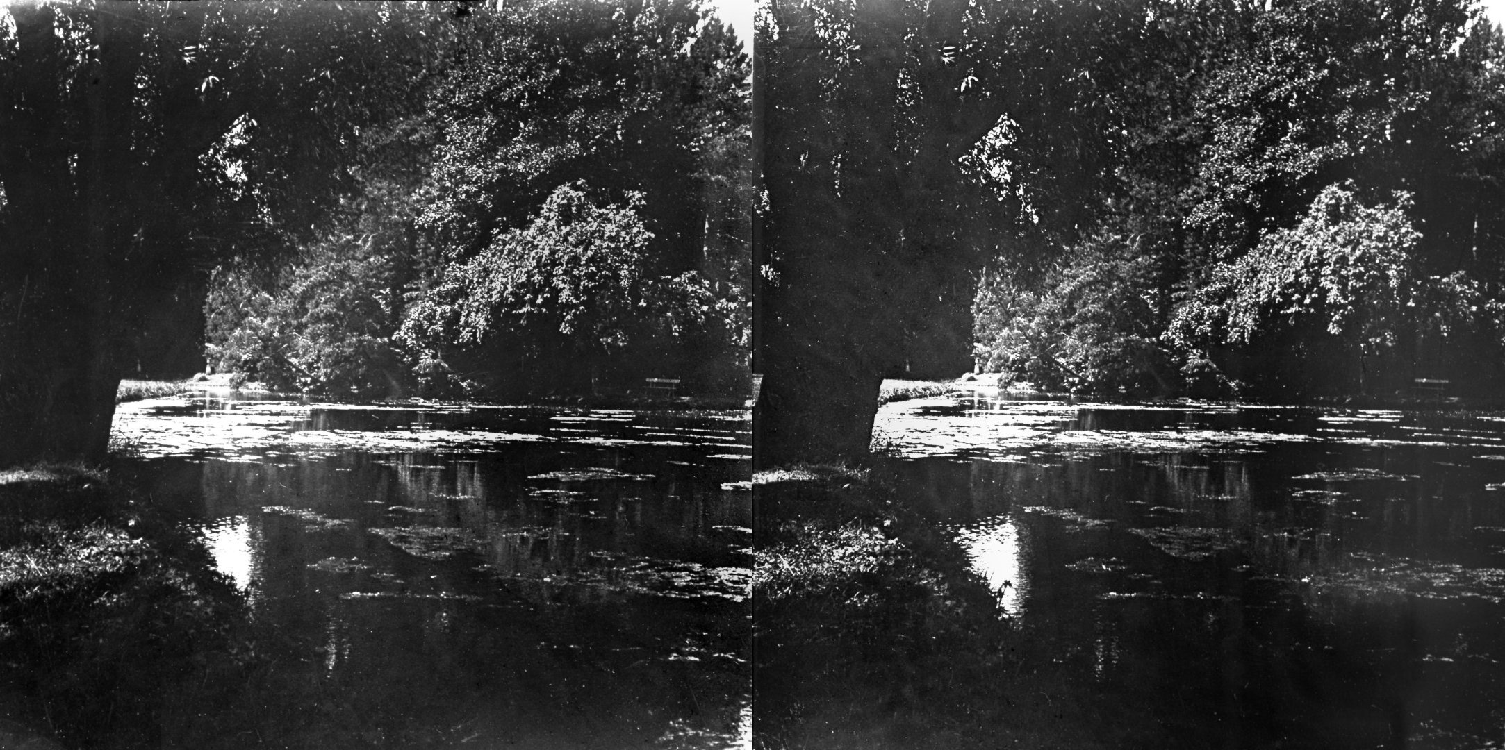 Bois de Boulogne, lac de Loncgamp