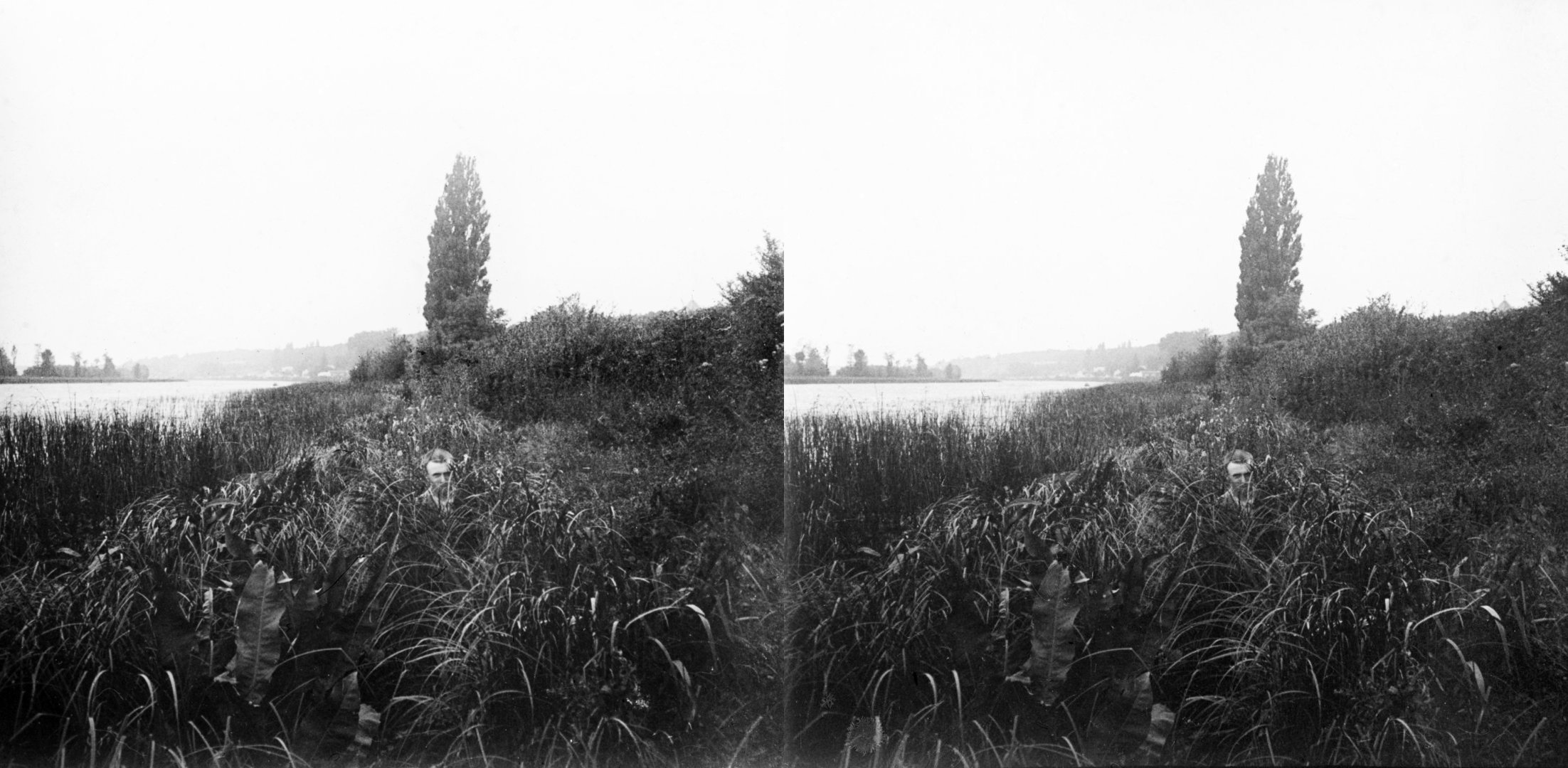 Bord de l'eau