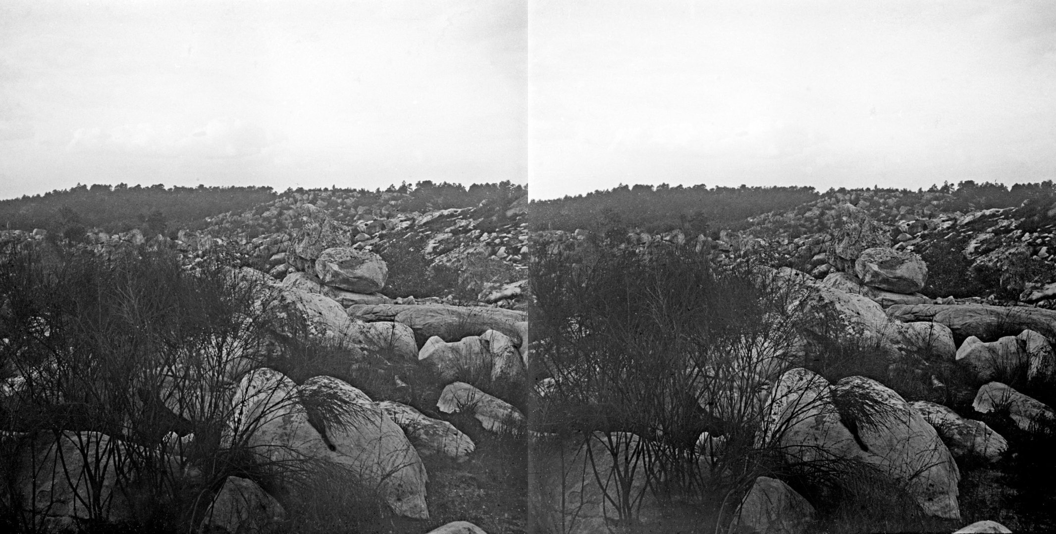 Rochers - vallée d'Apremont