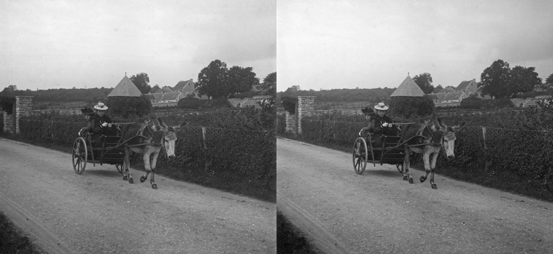 Voiture à âne, Isabelle, Madeleine, Nini de C