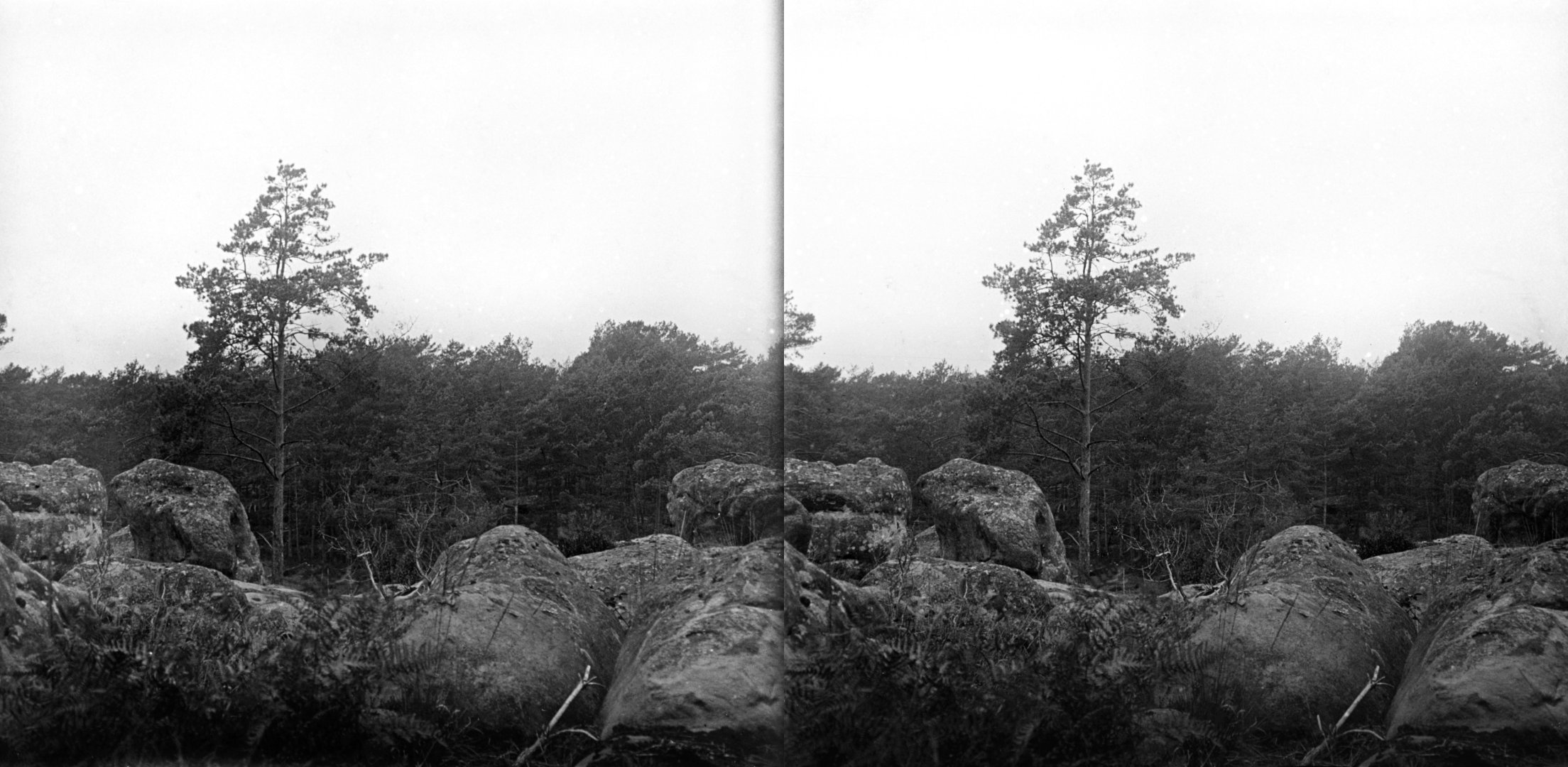 Plaine de la Haute Borne