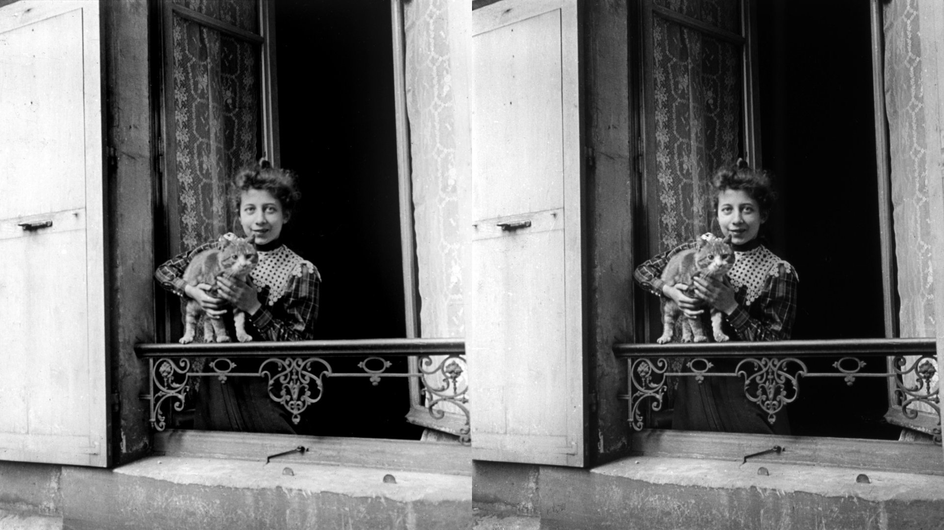 Madeleine et le chat