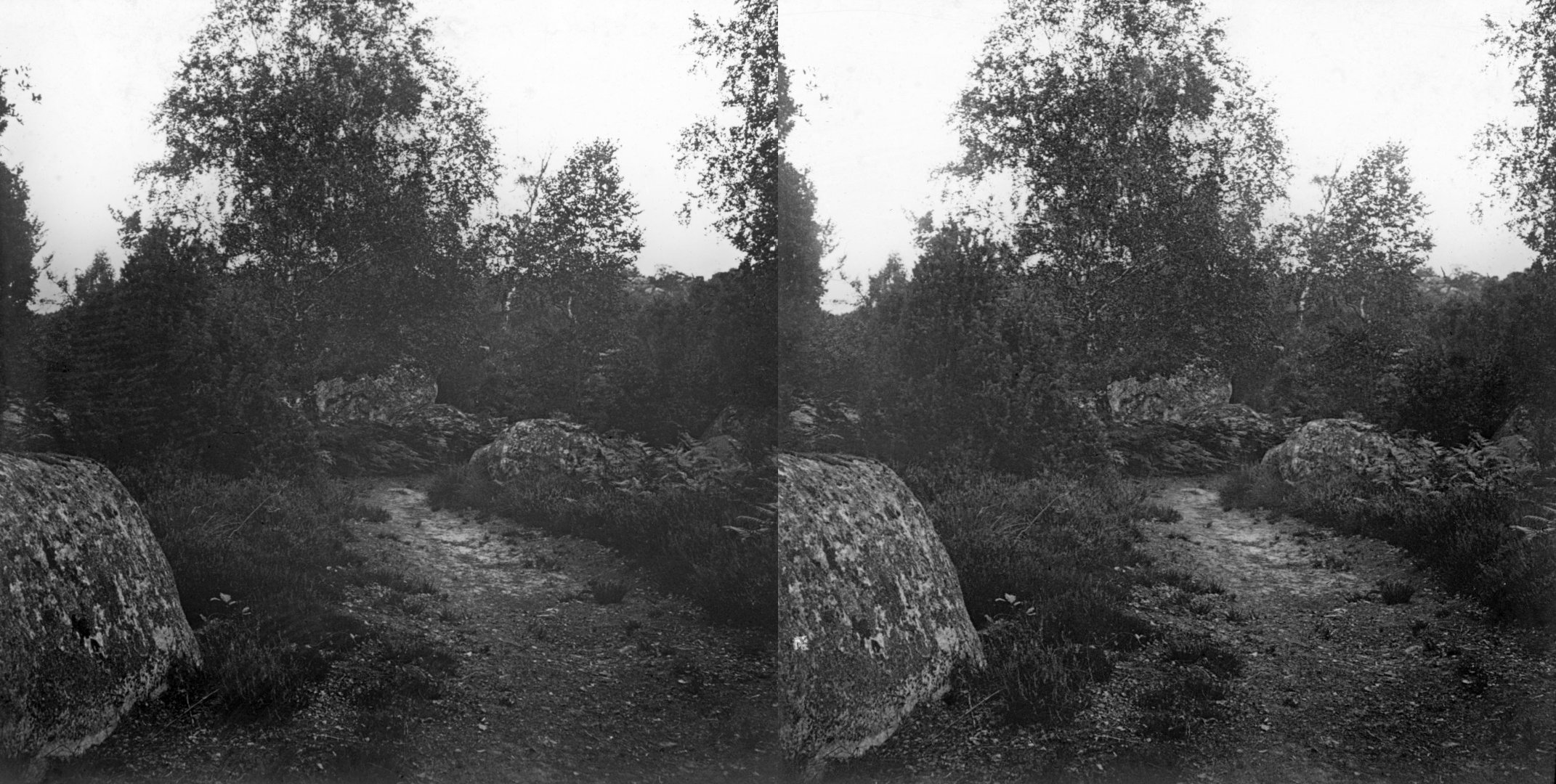 Chemin du Cuvier de Châtillon