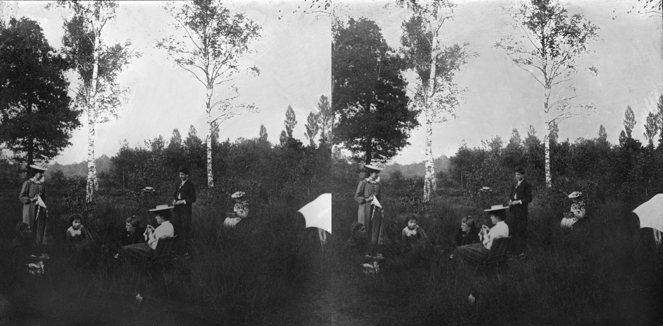 Bois des Moines