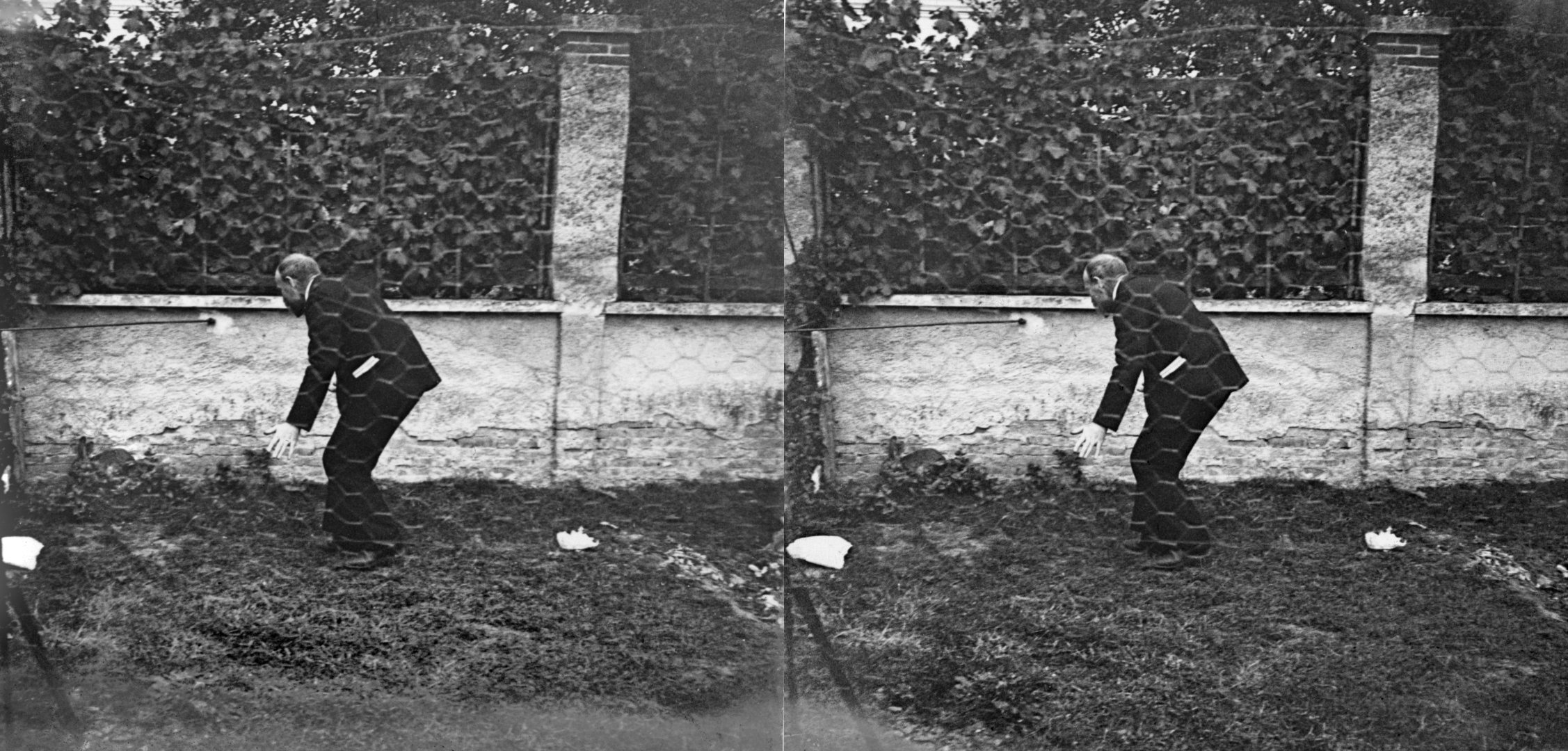 Course au lapin, Edouard