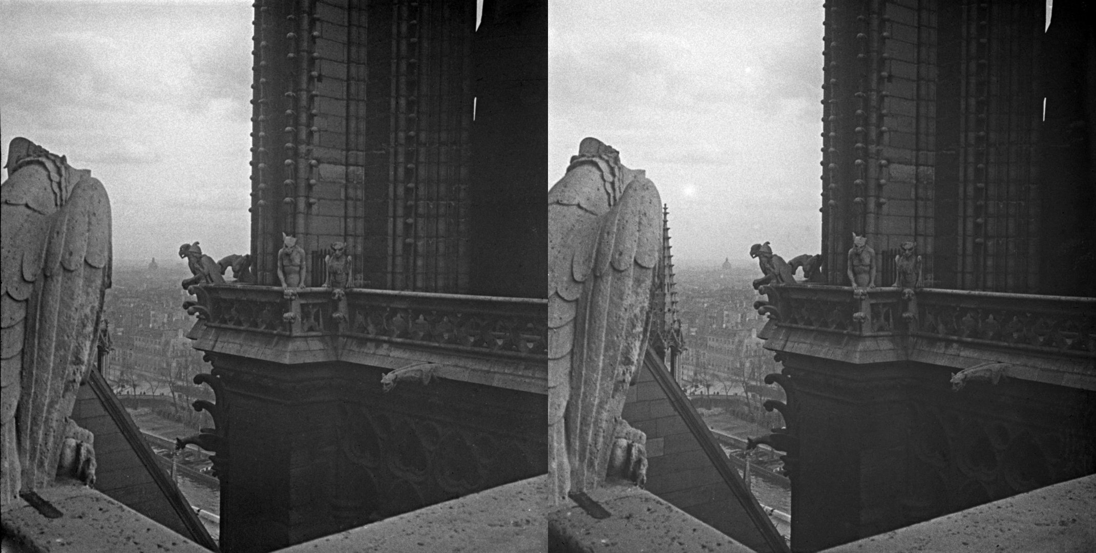 Du haut de Notre Dame