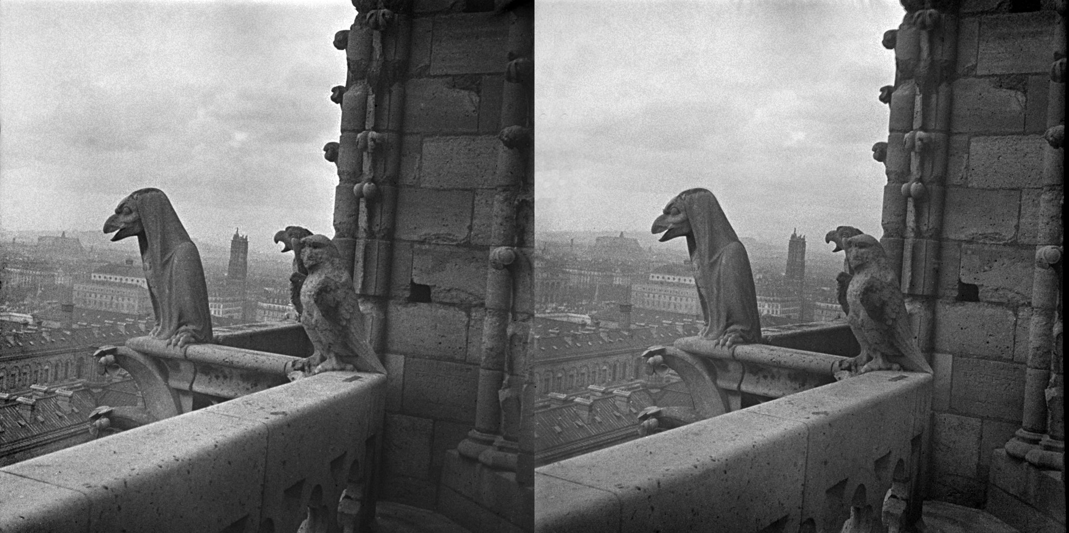 Du haut de Notre Dame