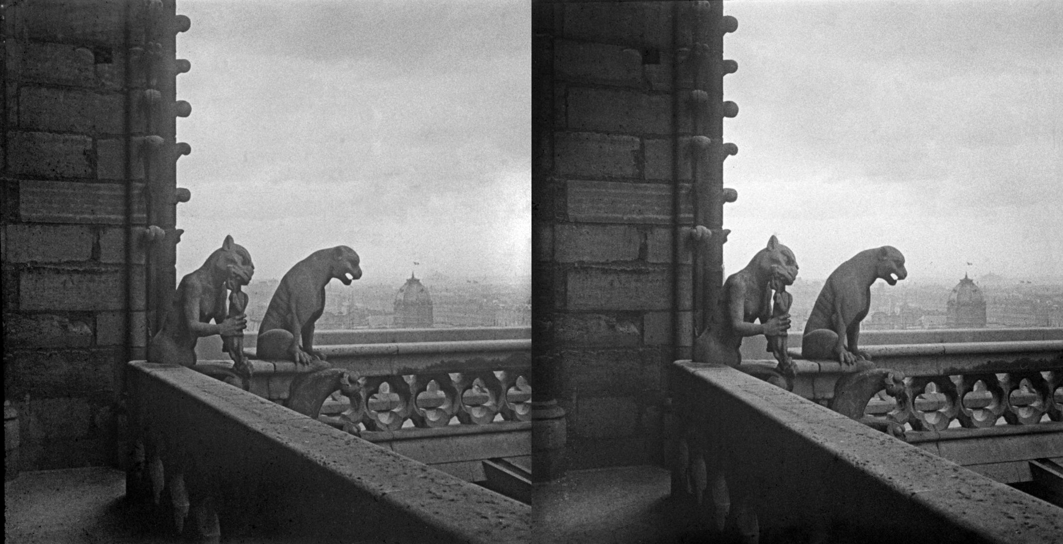 Du haut de Notre Dame