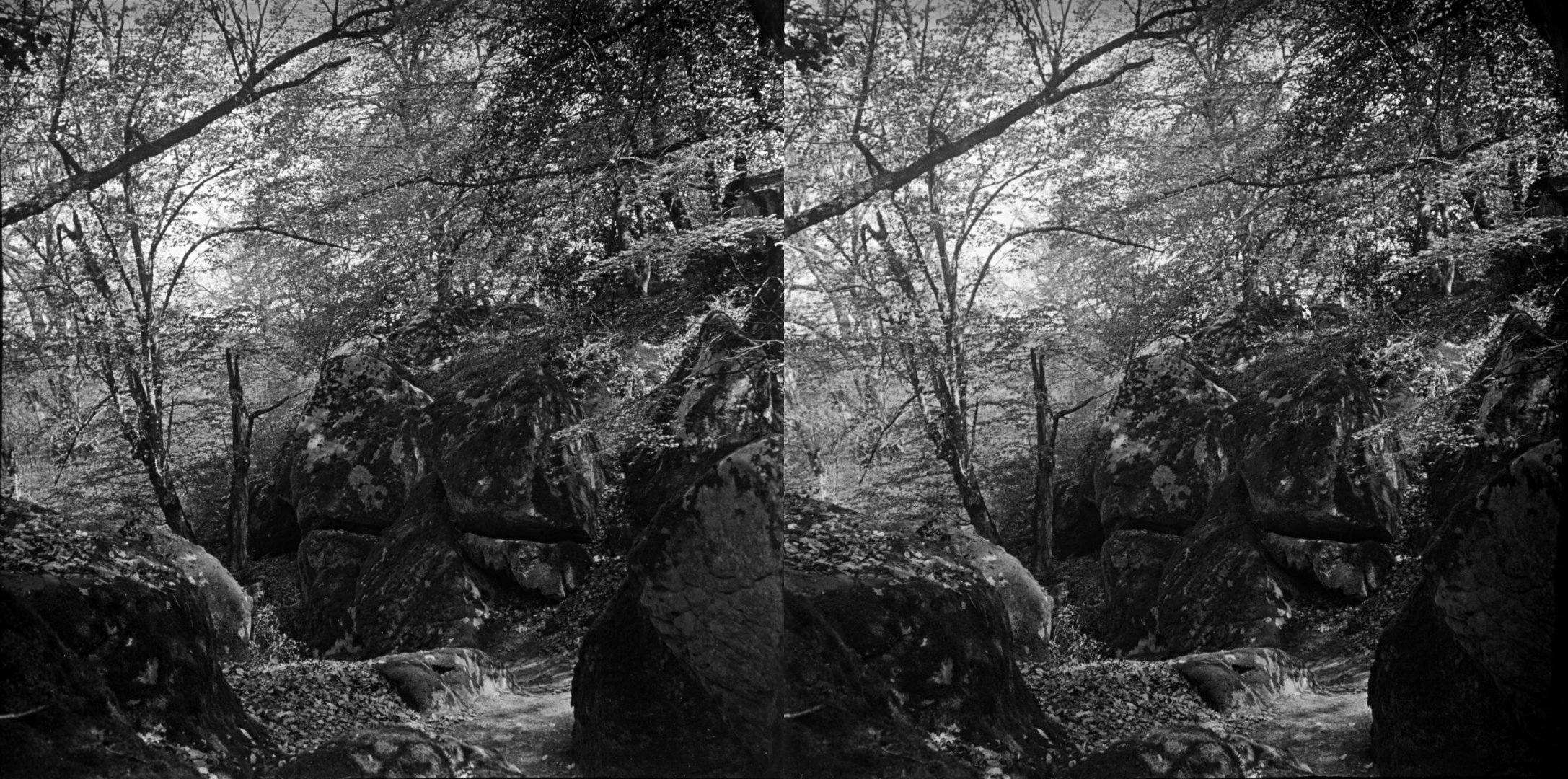 Gorge aux loups