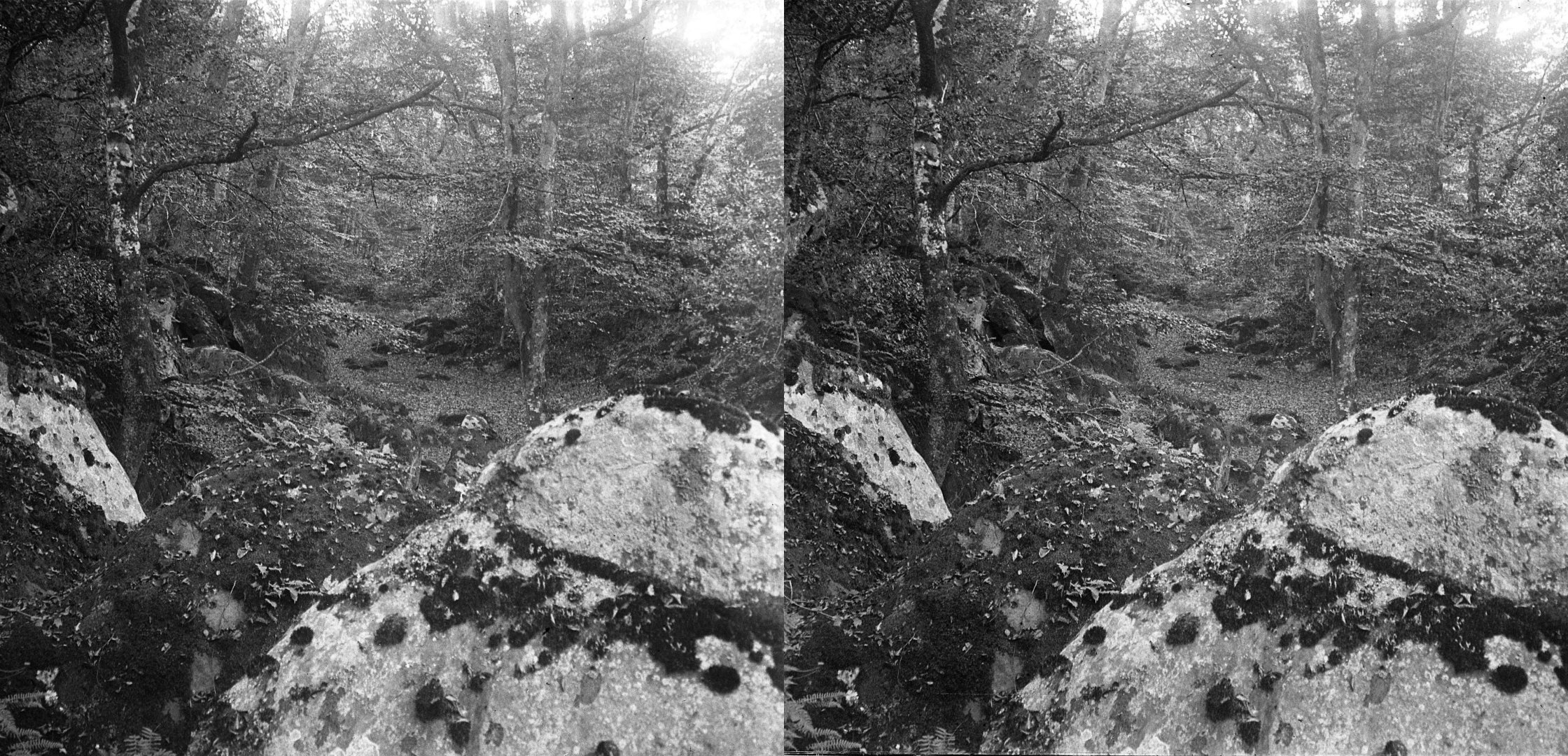 Gorge aux loups
