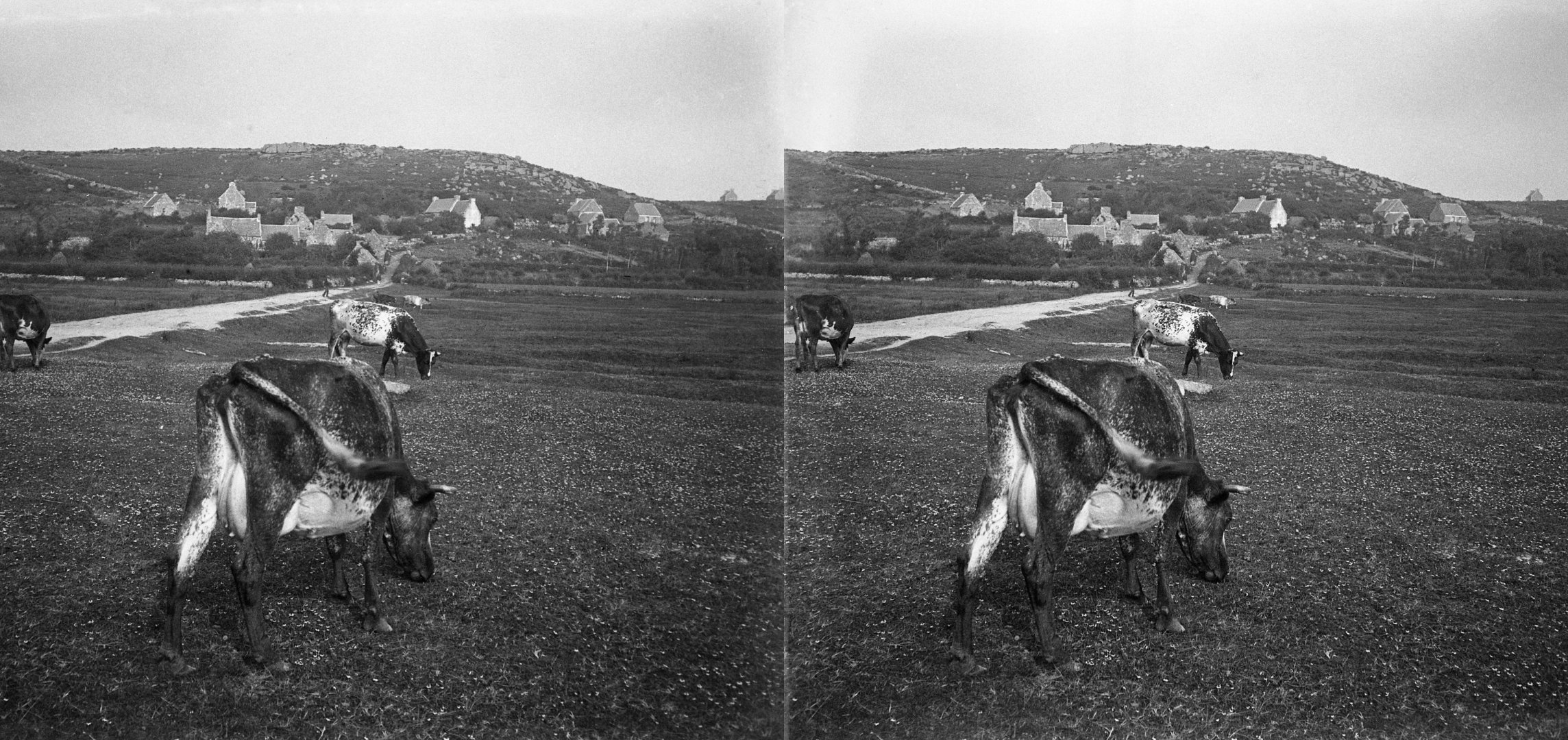 Kérellec