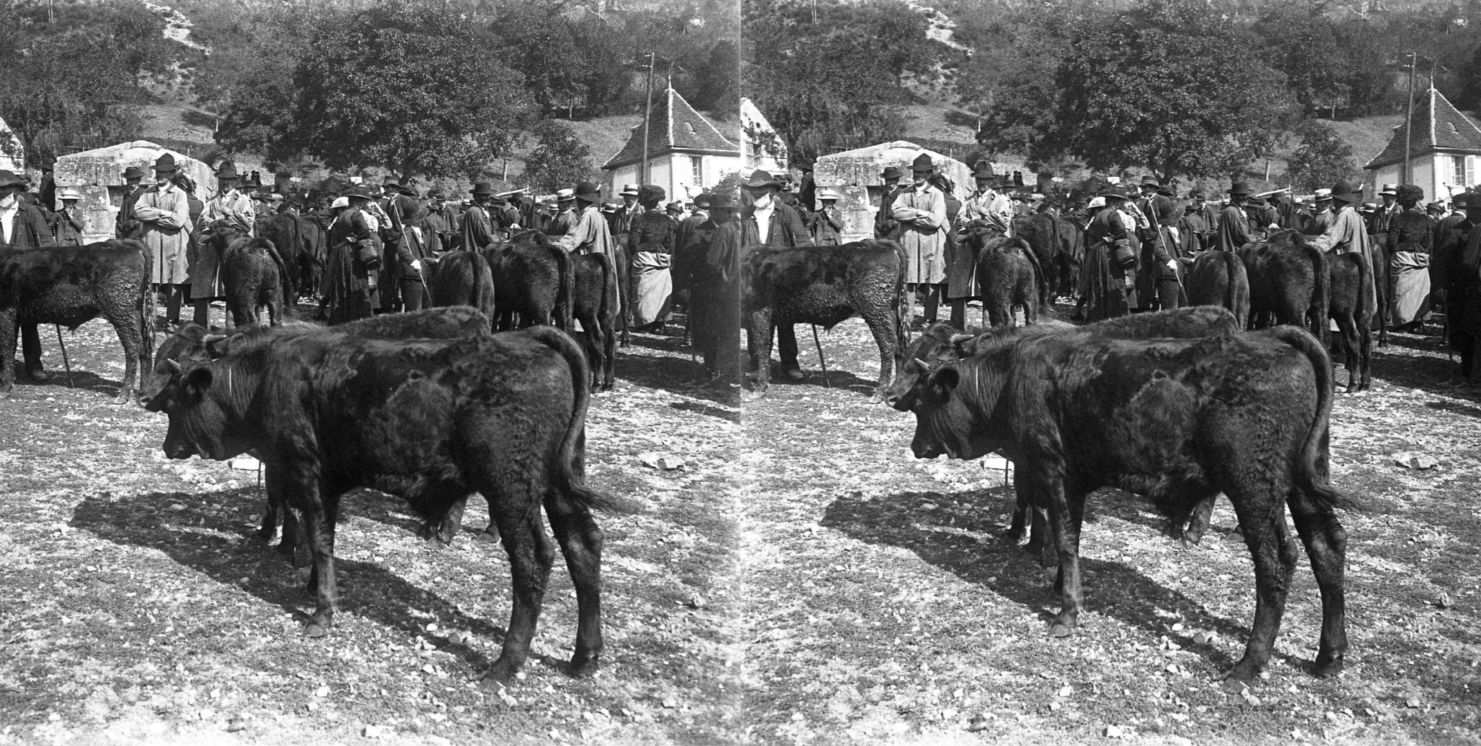 foire de Ste Croix
